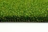 GolfTurf Elite 12