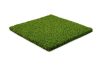 GolfTurf Elite 12