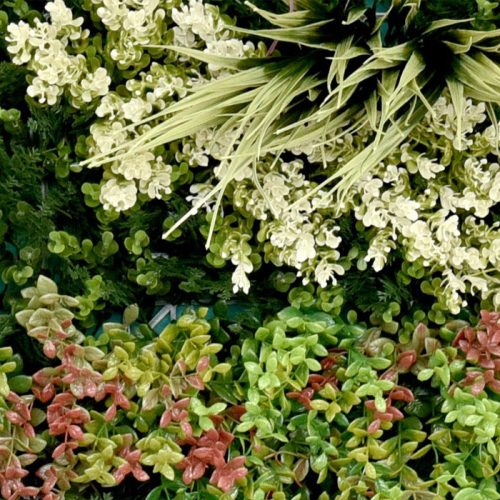 Zöldfal - Arubia "A" (modern, stílusos megjelenés) 50x50cm műsövény