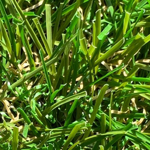 Emerald műfű 30mm a természetes szépség (5990 Ft/m2)