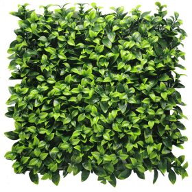   Zöldfal - Green Spark (világoszöld, frissítő üde hatás) 50x50cm műsövény