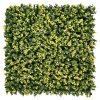 Zöldfal - Luxbux (buxus hatás, sűrű és látványos) 50x50cm műsövény