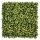 Zöldfal - Luxbux (buxus hatás, sűrű és látványos) 50x50cm műsövény