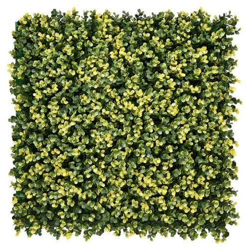 Zöldfal - Luxbux (buxus hatás, sűrű és látványos) 50x50cm műsövény