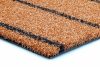 Multigrass Teak