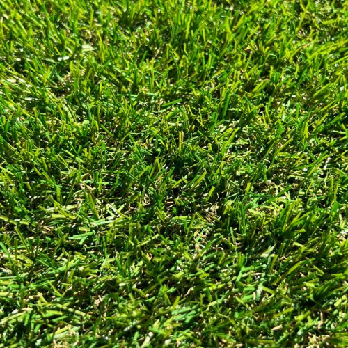 Oasis műfű 20mm a pihenés szigete (3391 Ft/m2) 400x120