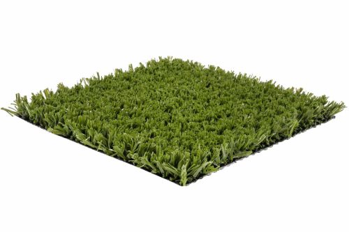 Playzone 24  Oliva 4m