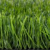 Műfű ProTurf 50 Futboll (9900/m2)
