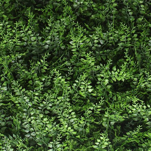 Zöldfal - Varena (elegáns, páfrányos hangulat) 50x50cm műsövény