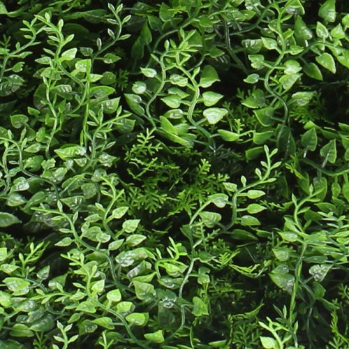 Zöldfal - Varena (elegáns, páfrányos hangulat) 50x50cm műsövény