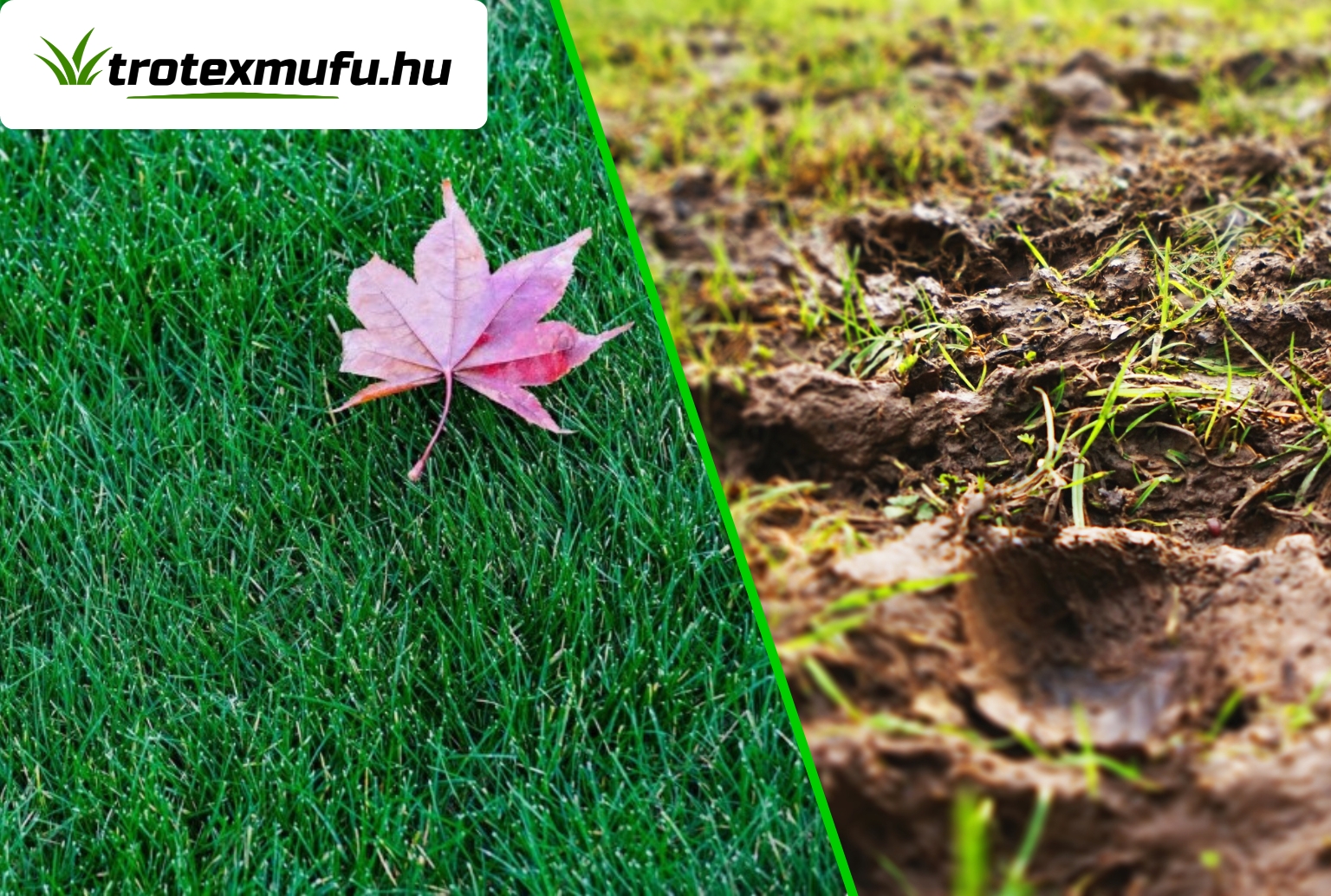 Spórolj időt és energiát a kertben – a műfű az őszi hónapok igazi megoldása